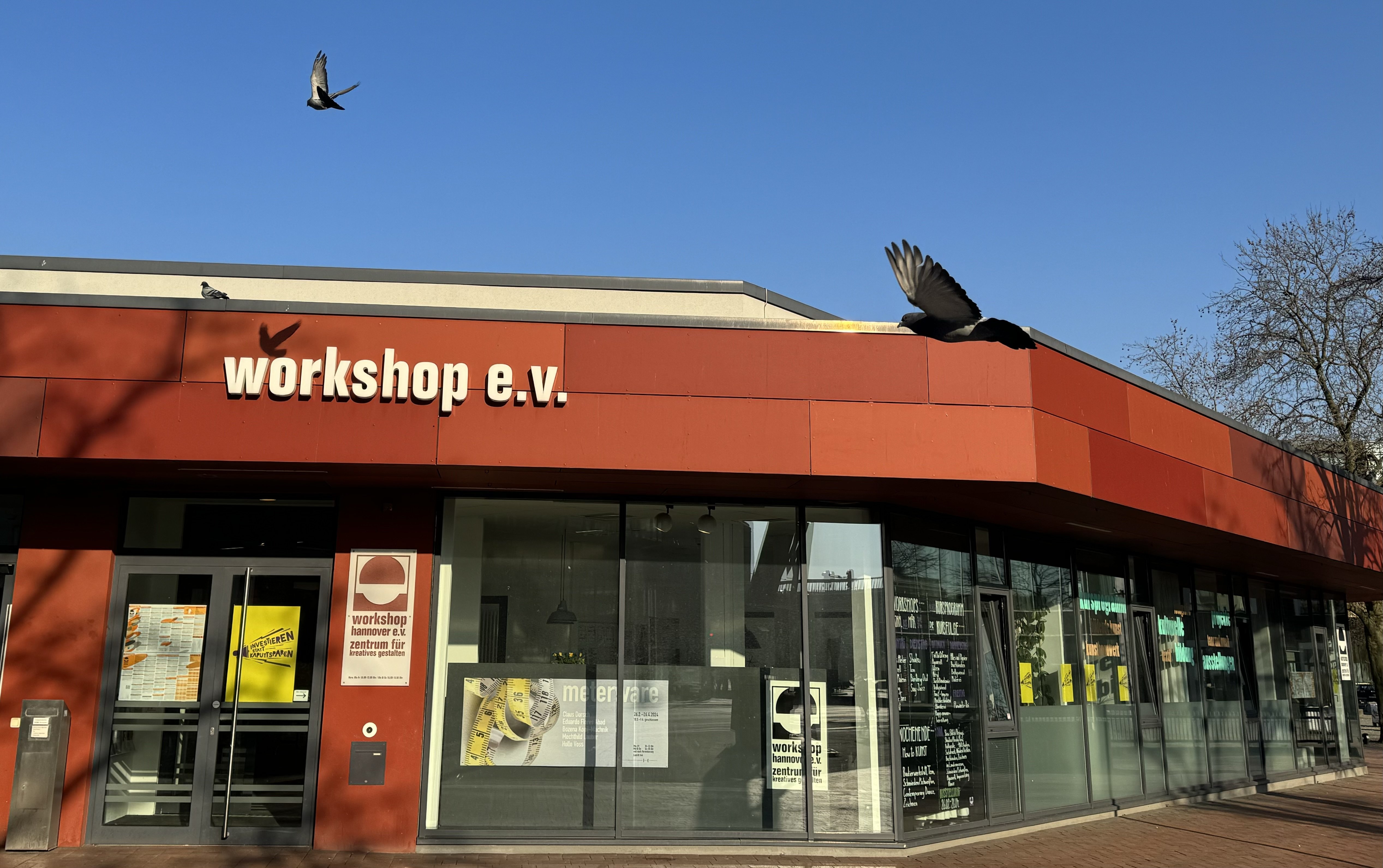 workshop außen blauer Himmel tauben