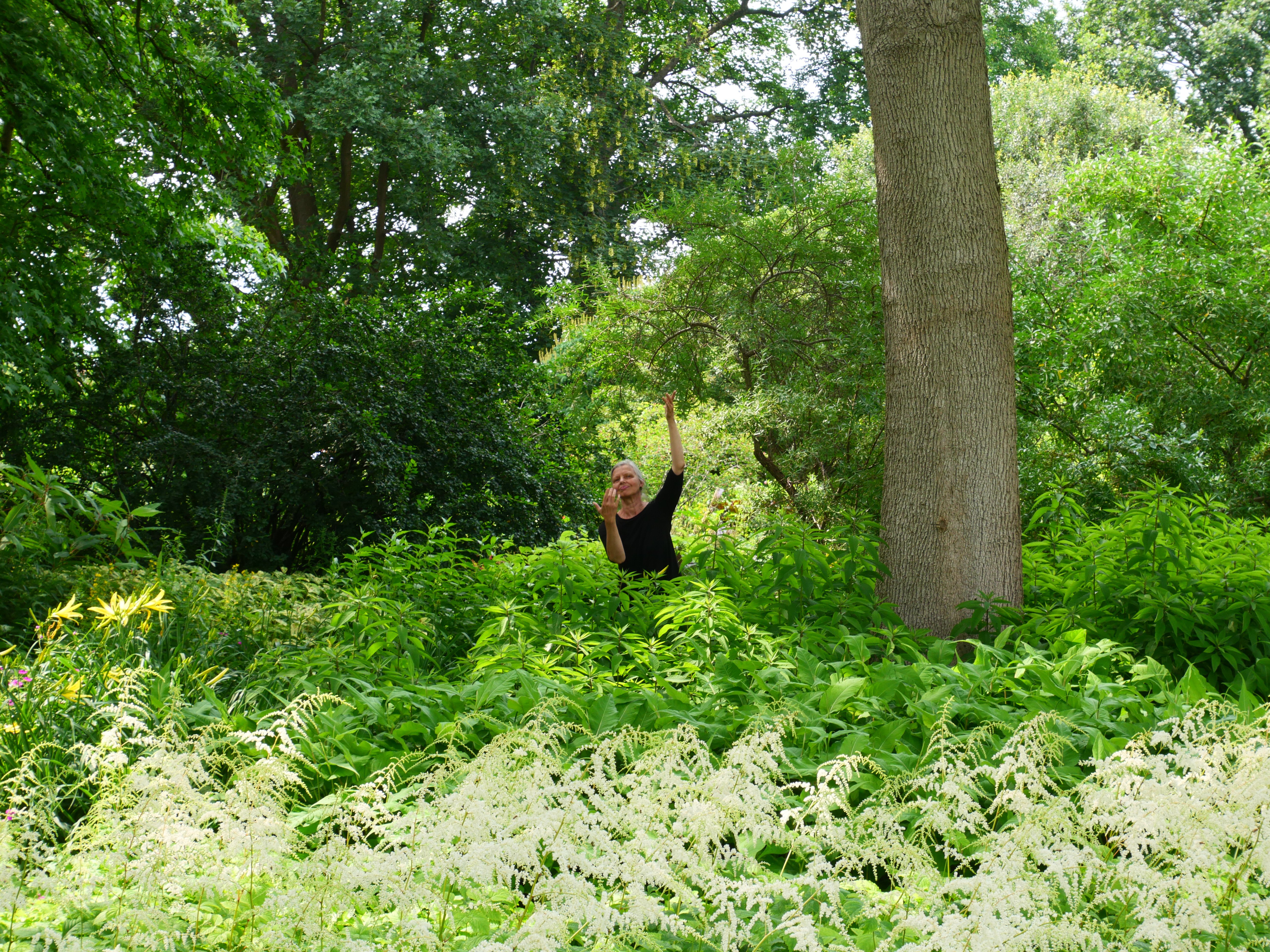 Jubiläum präsent Aktion Berggarten