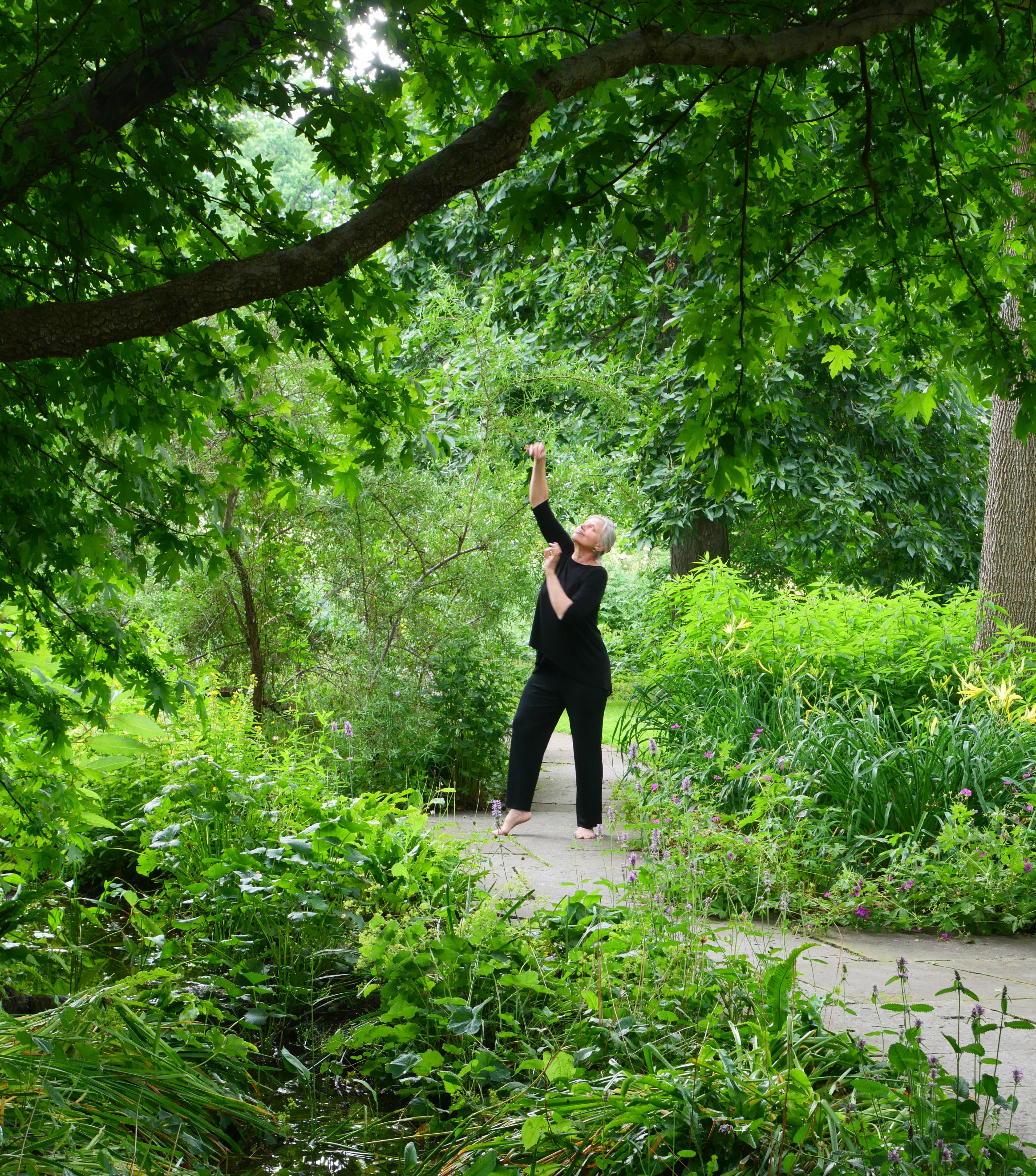 jubiläum berggarten2 kl 21.jpg